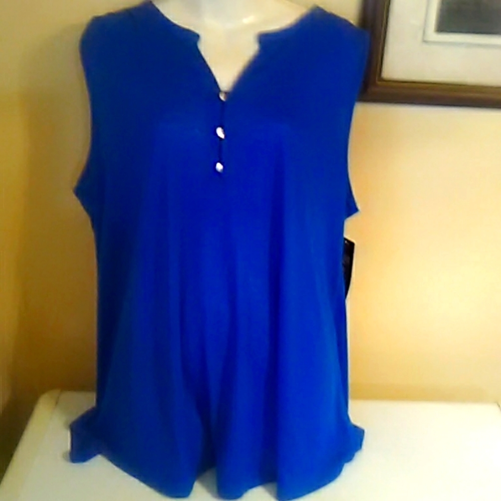 Royal blue blouse sheer